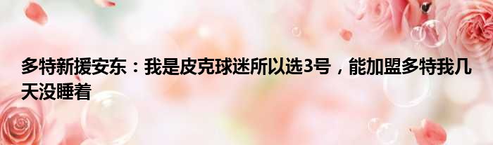 多特新援安东：我是皮克球迷所以选3号，能加盟多特我几天没睡着