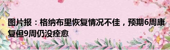 图片报：格纳布里恢复情况不佳，预期6周康复但9周仍没痊愈