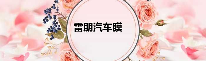 雷朋汽车膜