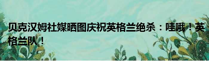 贝克汉姆社媒晒图庆祝英格兰绝杀：哇哦！英格兰队！