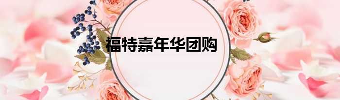 福特嘉年华团购