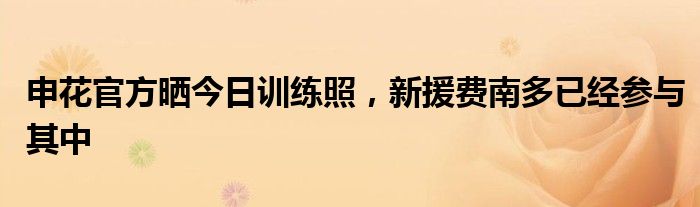申花官方晒今日训练照，新援费南多已经参与其中