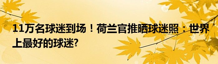 11万名球迷到场！荷兰官推晒球迷照：世界上最好的球迷?