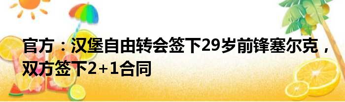 官方：汉堡自由转会签下29岁前锋塞尔克，双方签下2+1合同
