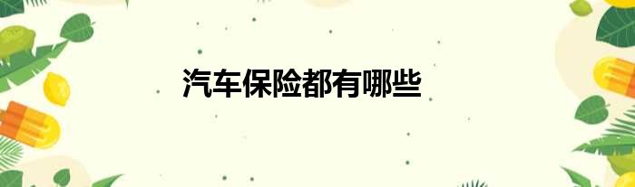 汽车保险都有哪些