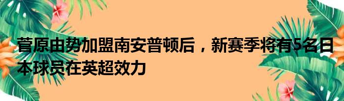 菅原由势加盟南安普顿后，新赛季将有5名日本球员在英超效力
