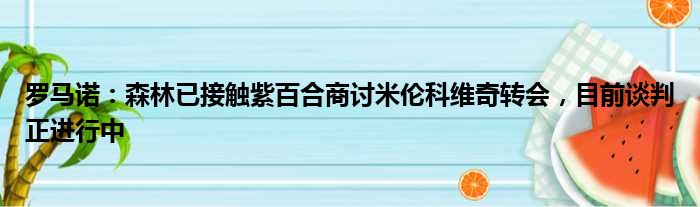 罗马诺：森林已接触紫百合商讨米伦科维奇转会，目前谈判正进行中