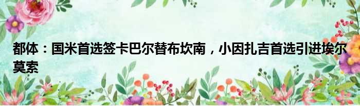 都体：国米首选签卡巴尔替布坎南，小因扎吉首选引进埃尔莫索