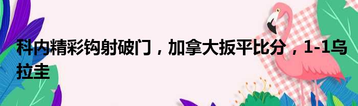 科内精彩钩射破门，加拿大扳平比分，1-1乌拉圭