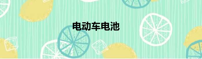 电动车电池