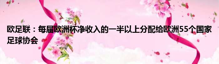 欧足联：每届欧洲杯净收入的一半以上分配给欧洲55个国家足球协会