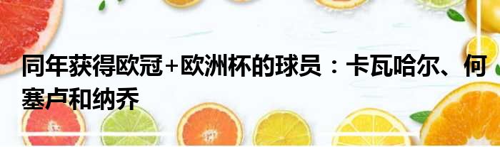 同年获得欧冠+欧洲杯的球员：卡瓦哈尔、何塞卢和纳乔