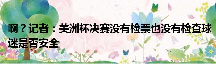啊？记者：美洲杯决赛没有检票也没有检查球迷是否安全