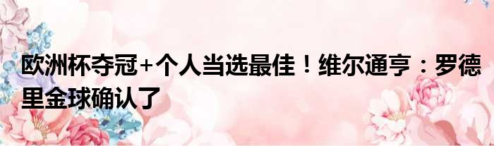 欧洲杯夺冠+个人当选最佳！维尔通亨：罗德里金球确认了