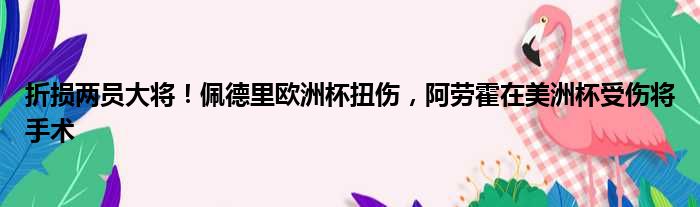 折损两员大将！佩德里欧洲杯扭伤，阿劳霍在美洲杯受伤将手术