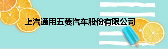 上汽通用五菱汽车股份有限公司