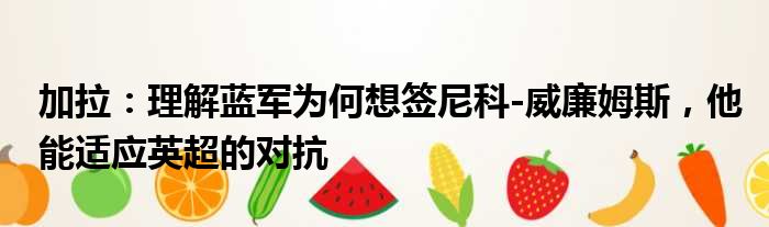 加拉：理解蓝军为何想签尼科-威廉姆斯，他能适应英超的对抗