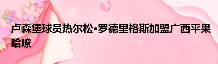卢森堡球员热尔松·罗德里格斯加盟广西平果哈嘹