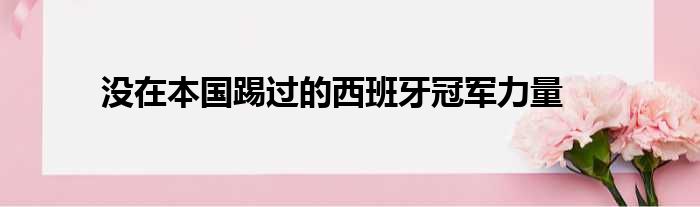没在本国踢过的西班牙冠军力量