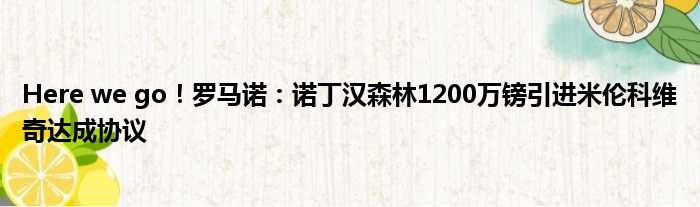 Here we go！罗马诺：诺丁汉森林1200万镑引进米伦科维奇达成协议