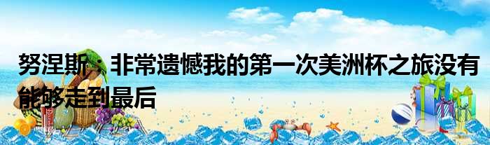 努涅斯：非常遗憾我的第一次美洲杯之旅没有能够走到最后