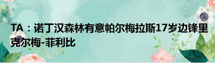 TA：诺丁汉森林有意帕尔梅拉斯17岁边锋里克尔梅-菲利比
