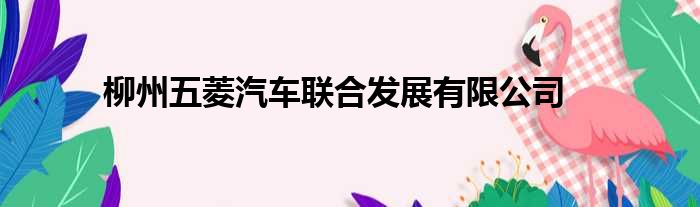 柳州五菱汽车联合发展有限公司