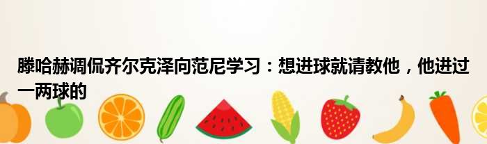 滕哈赫调侃齐尔克泽向范尼学习：想进球就请教他，他进过一两球的