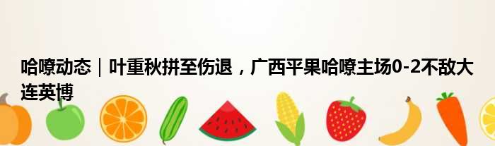 哈嘹动态｜叶重秋拼至伤退，广西平果哈嘹主场0-2不敌大连英博