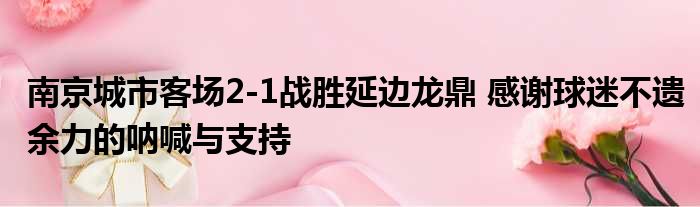 南京城市客场2-1战胜延边龙鼎 感谢球迷不遗余力的呐喊与支持