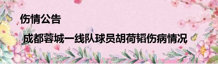 伤情公告 | 成都蓉城一线队球员胡荷韬伤病情况