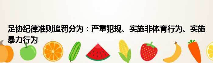 足协纪律准则追罚分为：严重犯规、实施非体育行为、实施暴力行为