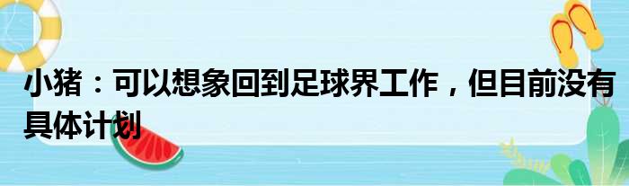 小猪：可以想象回到足球界工作，但目前没有具体计划