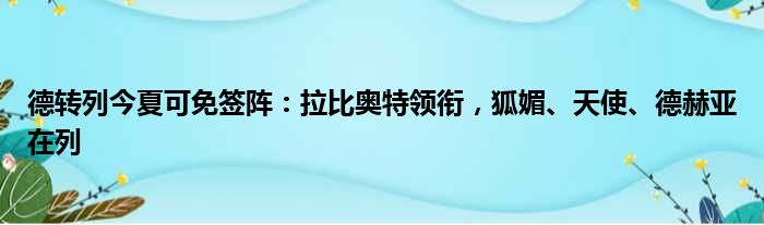 德转列今夏可免签阵：拉比奥特领衔，狐媚、天使、德赫亚在列