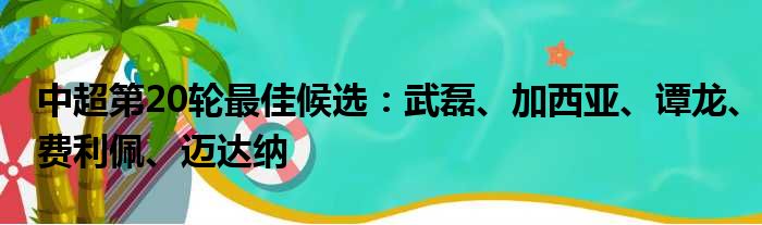 中超第20轮最佳候选：武磊、加西亚、谭龙、费利佩、迈达纳