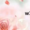 w12缸6.0的大众辉腾