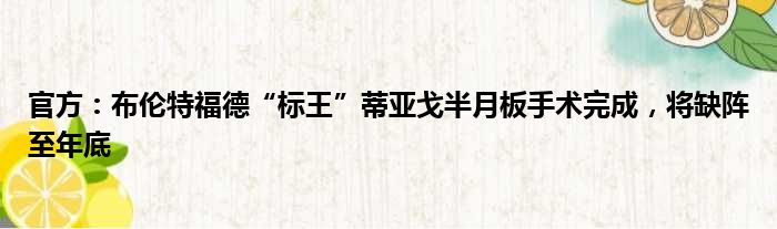 官方：布伦特福德“标王”蒂亚戈半月板手术完成，将缺阵至年底