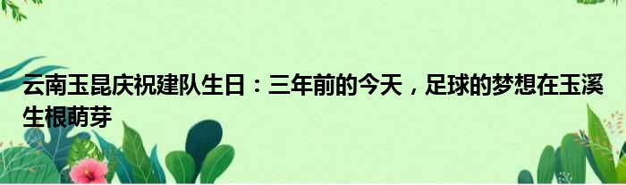 云南玉昆庆祝建队生日：三年前的今天，足球的梦想在玉溪生根萌芽