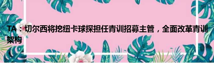 TA：切尔西将挖纽卡球探担任青训招募主管，全面改革青训架构