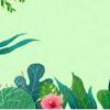 华晨宝马新3系