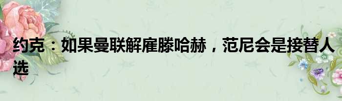 约克：如果曼联解雇滕哈赫，范尼会是接替人选