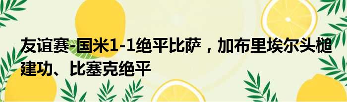 友谊赛-国米1-1绝平比萨，加布里埃尔头槌建功、比塞克绝平