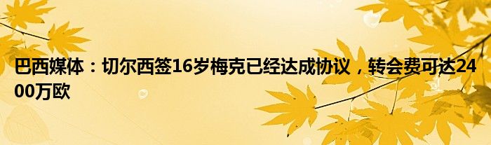 巴西媒体：切尔西签16岁梅克已经达成协议，转会费可达2400万欧