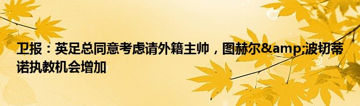 卫报：英足总同意考虑请外籍主帅，图赫尔&波切蒂诺执教机会增加