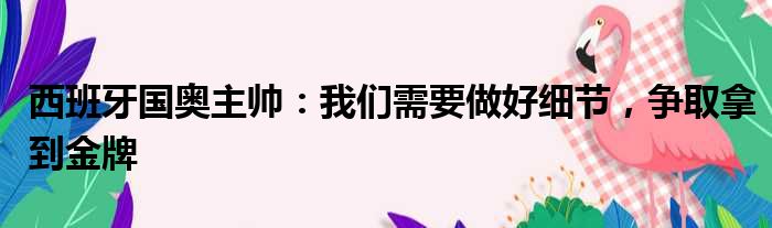 西班牙国奥主帅：我们需要做好细节，争取拿到金牌