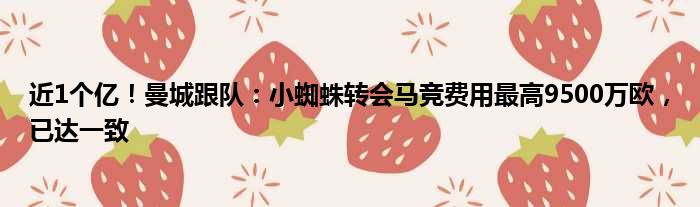 近1个亿！曼城跟队：小蜘蛛转会马竞费用最高9500万欧，已达一致