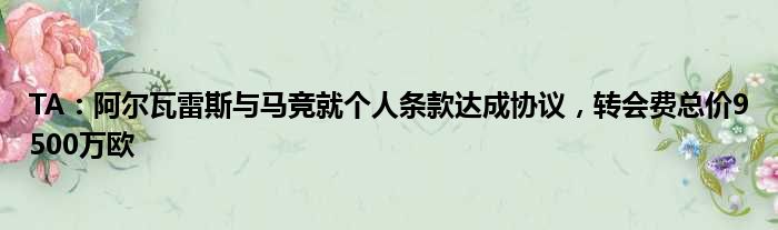 TA：阿尔瓦雷斯与马竞就个人条款达成协议，转会费总价9500万欧