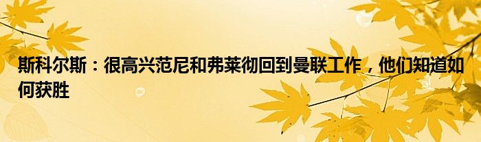 斯科尔斯：很高兴范尼和弗莱彻回到曼联工作，他们知道如何获胜