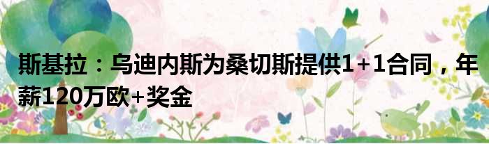 斯基拉：乌迪内斯为桑切斯提供1+1合同，年薪120万欧+奖金