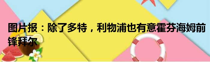 图片报：除了多特，利物浦也有意霍芬海姆前锋拜尔
